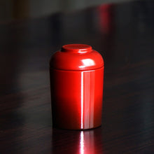 Load image into Gallery viewer, Pet Memorial Iron Urn For Dogs Cats Birds Cremation Ashes Openable Ashes Holder Small Animals Mouse Rabbits Fish Funeral Casket