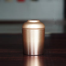 Load image into Gallery viewer, Pet Memorial Iron Urn For Dogs Cats Birds Cremation Ashes Openable Ashes Holder Small Animals Mouse Rabbits Fish Funeral Casket