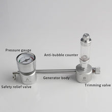 Load image into Gallery viewer, ZRDR Aquarium DIY CO2 Generator System Kit With Pressure Air Flow Adjustment Water Plant Fish AquariumCo2Valve Diffuser