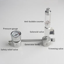 Load image into Gallery viewer, ZRDR Aquarium DIY CO2 Generator System Kit With Pressure Air Flow Adjustment Water Plant Fish AquariumCo2Valve Diffuser